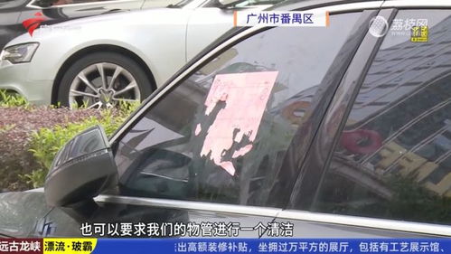 汽车前挡风贴膜多少钱