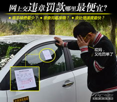 开无牌汽车上路罚多少钱(开无牌汽车上路罚款详解)