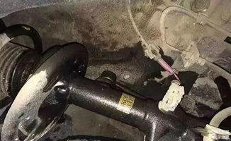 电动汽车减震器加多少油(电动汽车减震器加油量的正确指导)
