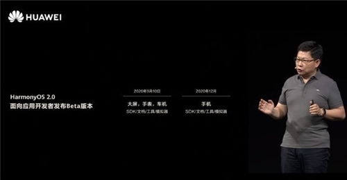华为电脑怎么下易次元(华为电脑如何轻松下载易次元,详细步骤与指南) 华为电脑怎么下易次元(华为电脑如何轻松下载易次元,详细步骤与指南)