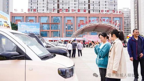 来宾到柳城汽车票多少钱(柳城之旅，探寻汽车票价与远方的故事)