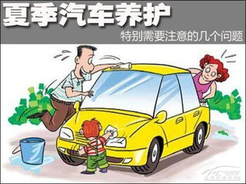 汽车一年需要清洗多少次(汽车一年需要清洗多少次，深度解析与最佳实践)