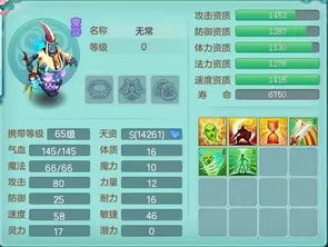 神武华为怎么在电脑上玩(如何在电脑上玩转神武华为版，详细教程与攻略)
