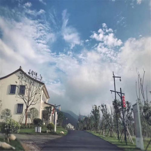 清除汽车侧窗贴膜多少钱(清除汽车侧窗贴膜的费用分析) 清除汽车侧窗贴膜多少钱(清除汽车侧窗贴膜的费用分析)
