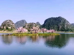 怎么关掉华为手机桌面 怎么关掉华为手机桌面