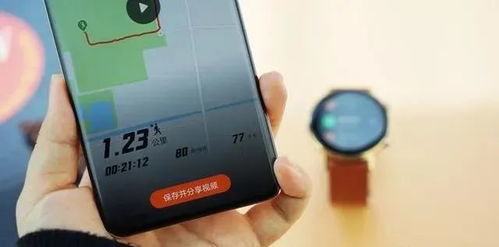 华为手机轨迹怎么显示