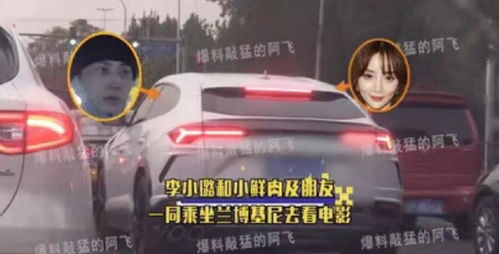 欧美游戏徐娘游戏攻略 VS 新山海经的游戏攻略视频