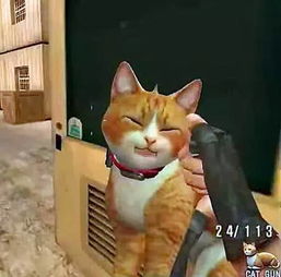 完美滑翔游戏攻略 VS 小猫游戏橘猫游戏攻略