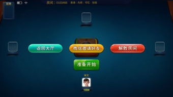 游戏开车新手攻略 VS 联众游戏游戏攻略手机版