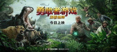 勇敢者游戏2无人区攻略 VS 小猫钓鱼游戏第二章攻略