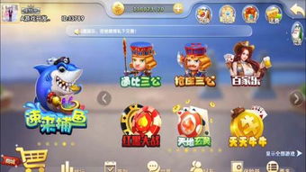 胖老板游戏攻略 VS npyz游戏攻略