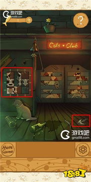 鹿鼎记游戏职业攻略 VS 小猫游戏橘猫游戏攻略