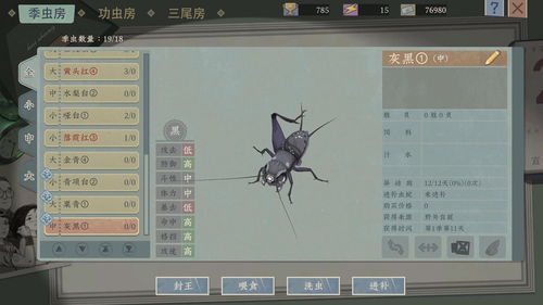 蟋蟀攻略游戏 VS 像素攻略游戏